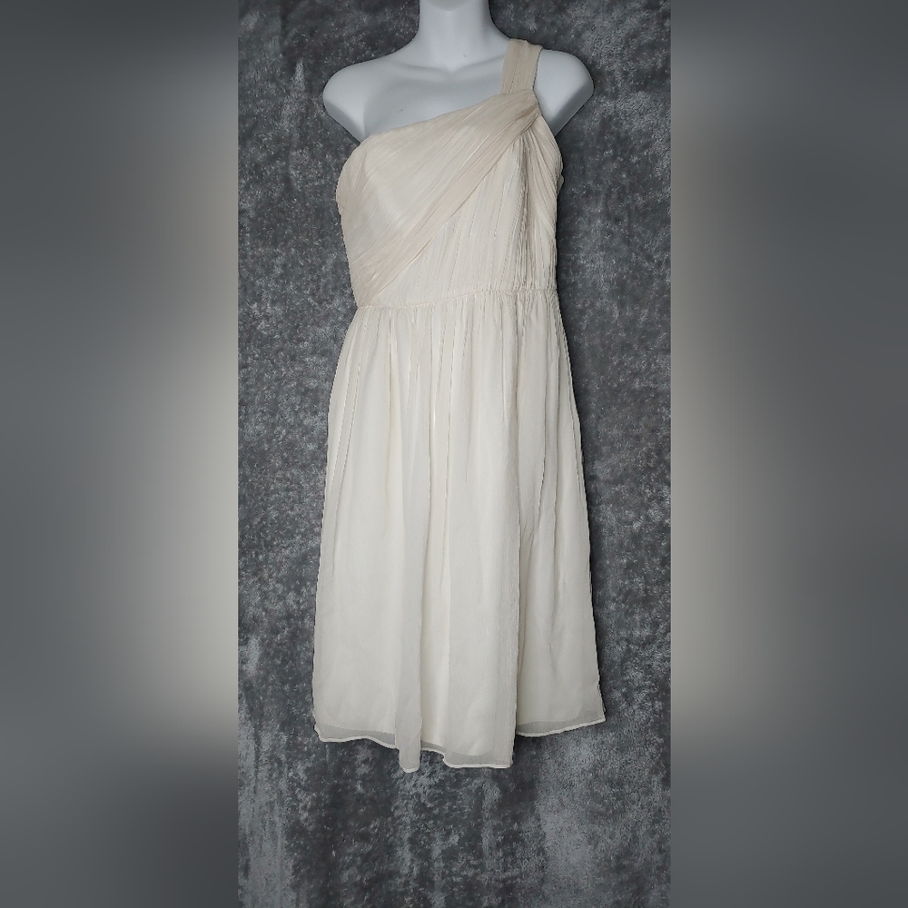 100% silk NWT J.Crew dress